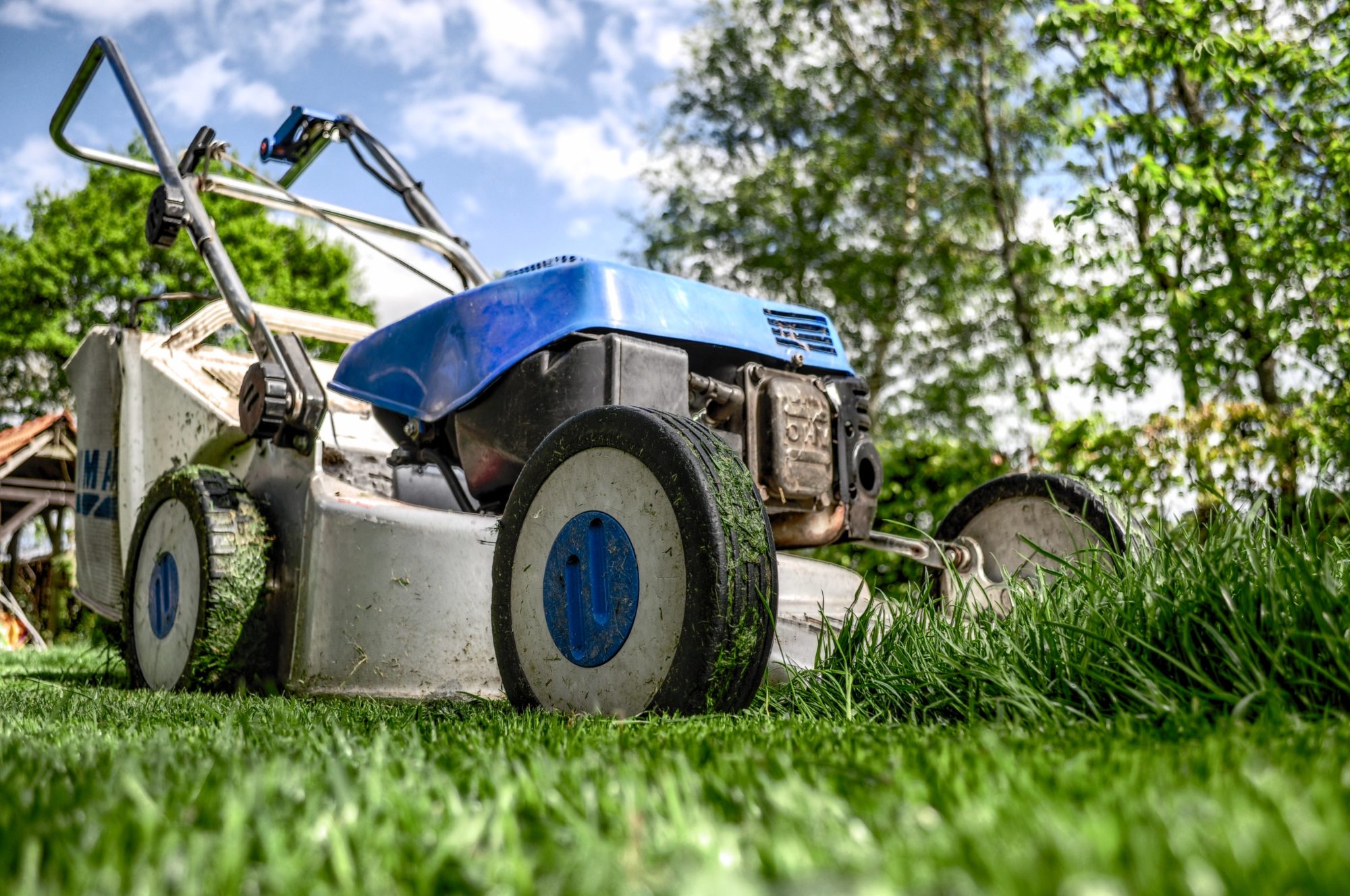 Check out the early spring lawn care tips for your Maryland home.