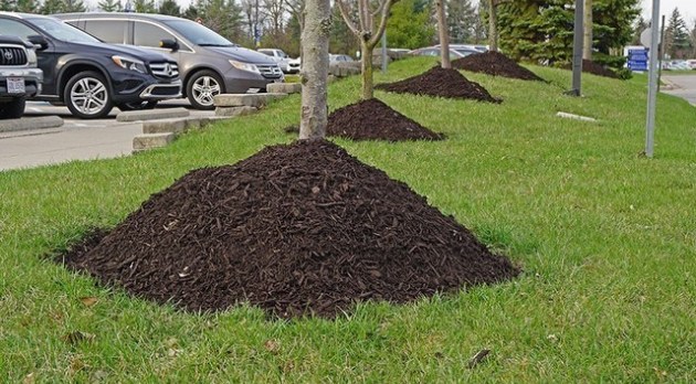 Learn about the negative effects of over-mulching your landscape.