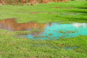 weekly and long term care for rain-soaked yards