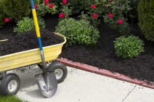 planning your spring lawn care checklist