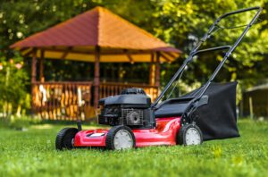 scientific plant service summer lawn care