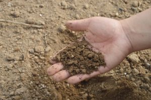 test your soil in the fall