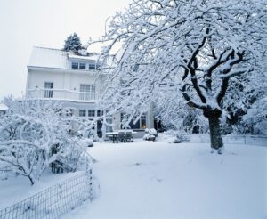 effects of snow on your lawn
