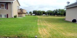 scientific plant service cutting your grass too short