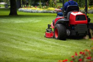 scientific plant service general guidelines lawn maintenance