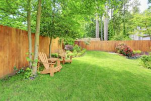 scientific plant service lawn care services in Bel Air