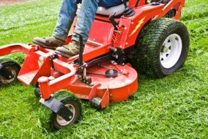 scientific plant service lawn care service in Ellicott City