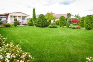 scientific plant service lawn care service in West Friendship scientific plant service lawn care service in West Friendship