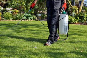 scientific plant service advanced lawn management