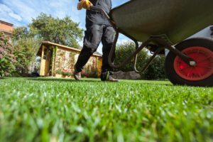 scientific plant service lawn care service in isaacsville scientific plant service lawn care service in isaacsville
