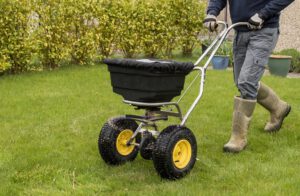 scientific plant service overseed cool season lawn