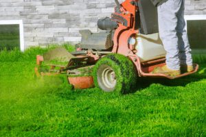 scientific plant service lawn care service in Simpsonville scientific plant service lawn care service in Simpsonville