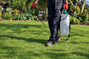 scientific plant service lawn care service in Pasadena