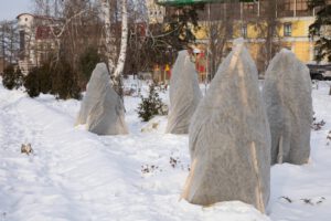 scientific plant service prevent winter damage to shrubs