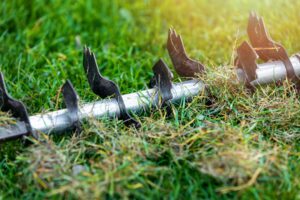 scientific plant service lawn care service in Gambrills