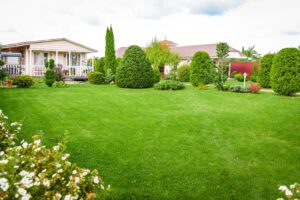 scientific plant service lawn care service in Hillsmere Shores