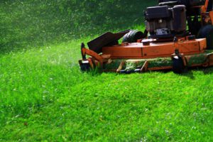 scientific plant service lawn care service in Tracys Landing