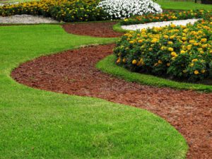 scientific plant service lawn care service in naval academy