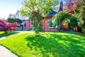 scientific plant service lawn restoration