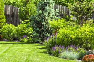 scientific plant service lawn care service in Lothian