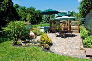 scientific plant service lawn care service in Londontowne