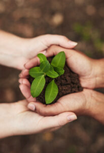 Methods for Improving Soil Oxygen Levels