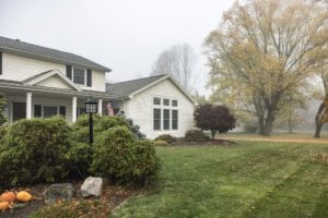 scientific plant service dormant grass