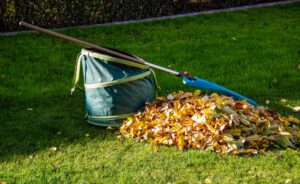 scientific plant service fall landscaping