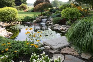 scientific plant service garden ponds