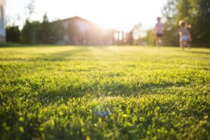 scientific plant service lawn care service in Hampstead
