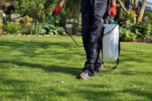 scientific plant servicea lawn care professional sprays herbicides on a green lawn